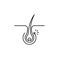 Återaktiverar hårsäckarna